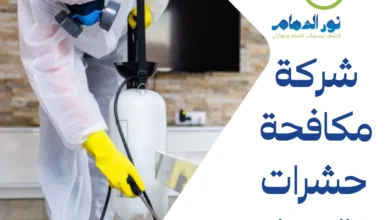 شركة مكافحة حشرات بالجبيل