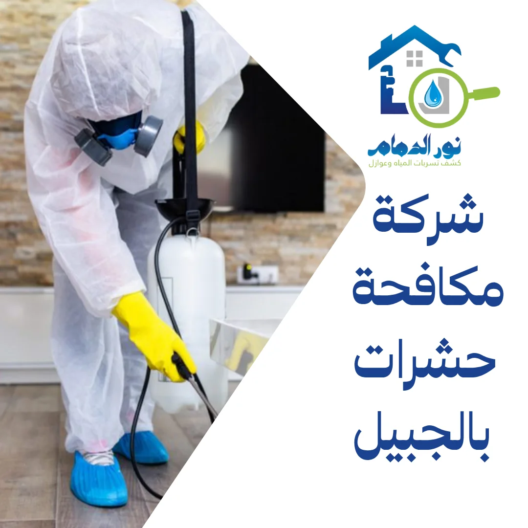 شركة مكافحة حشرات بالجبيل